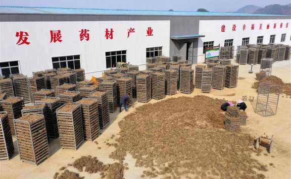 全国中药材物流示范基地汇总